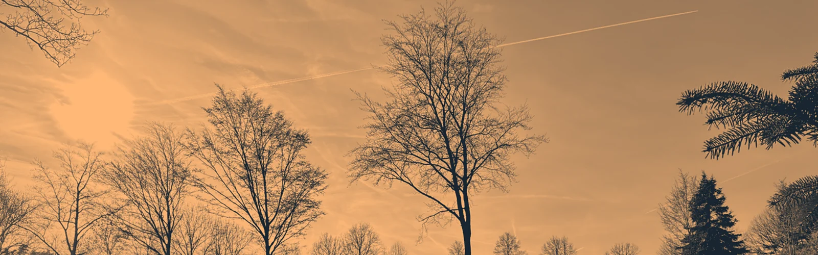 Evening sky above the site, graphic duotone version in the house colours