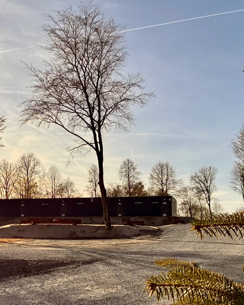 A single tree in front of the sanitary building in the evening light