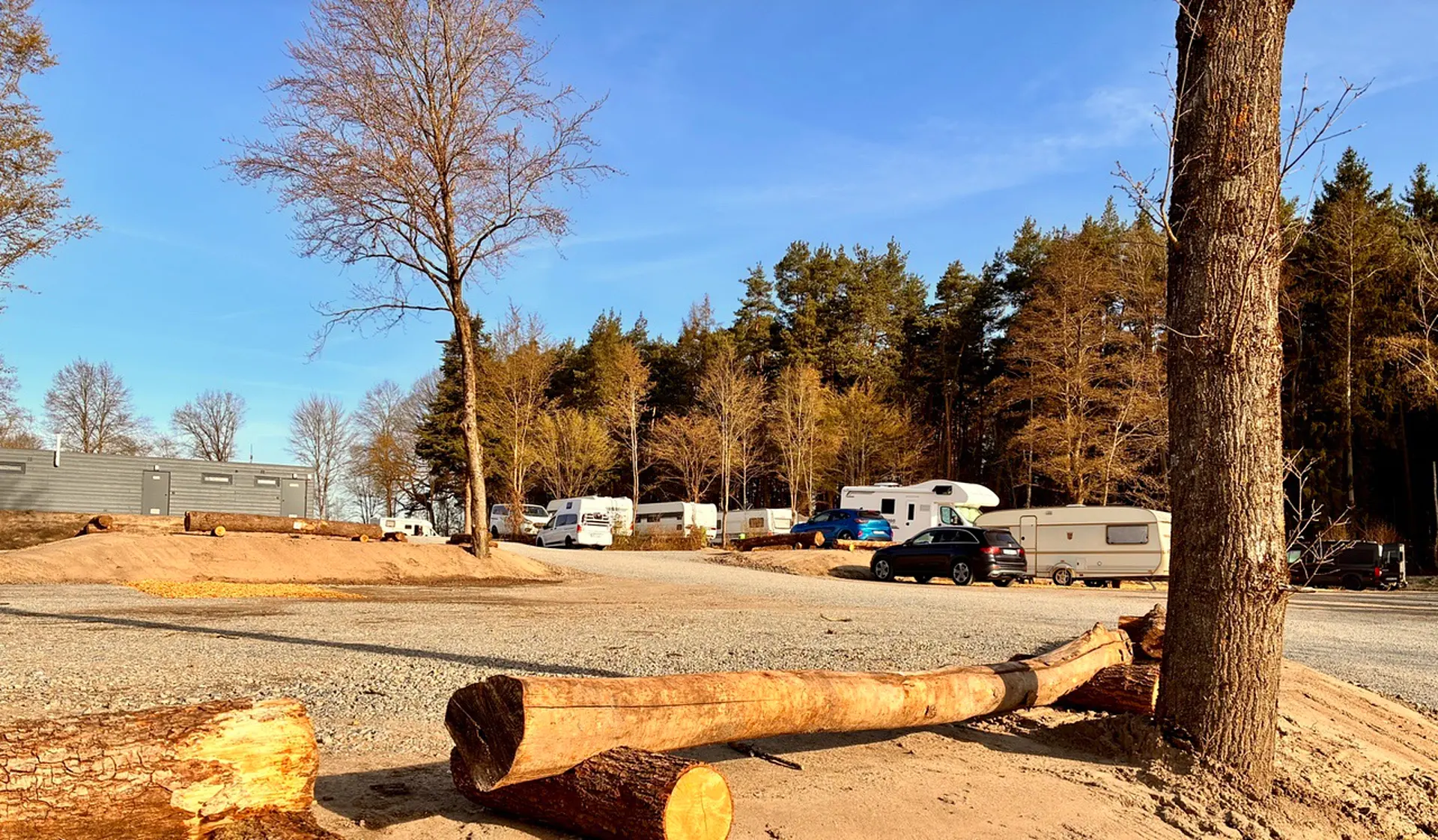 View across the pitches towards the forest edge: motorhomes and caravans in the evening light in front of the pine wood